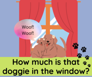 Doggie in the window