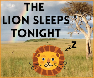 Lion Sleeps Tonight