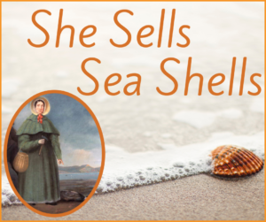 She Sells Sea Shells